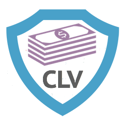 CLV Customer Lifetime Value