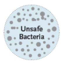 Fridge Unsafe bacteria day 3