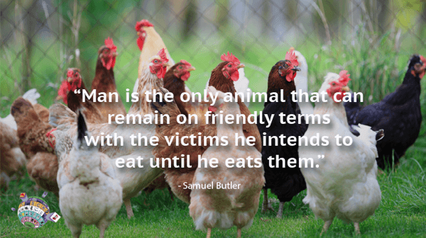 Samuel Butler Quote - Man is the only animal that can remain on friendly terms with the victims he intends to eat until he eats them