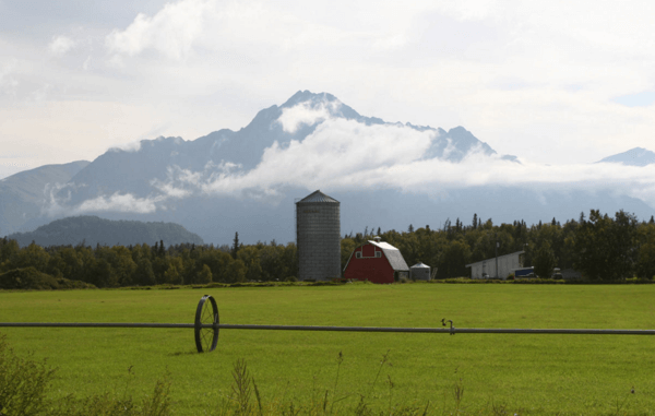 Agricultural farm in Alaska in the Matanuska Valley near the town of Palmer. By National Institute for Occupational Safety and Health (NIOSH) from USA (Farm, Matanuska Valley, AK