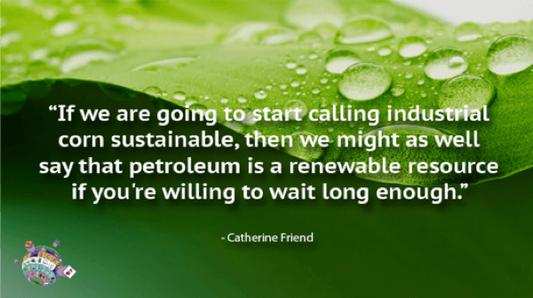 Catherine Friend Quote - If we are going to start calling industrial corn sustainable, then we might as well