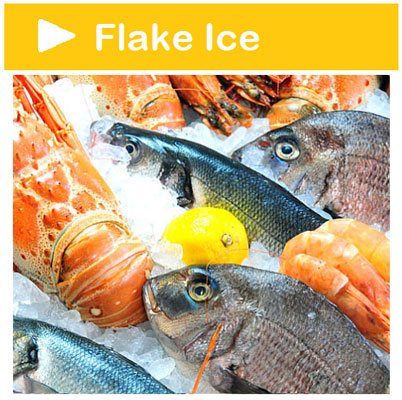 Flake Ice for fruit and fresh foods