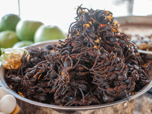 Bizarre Foods: Delicacy or Weird, Daring Fad?