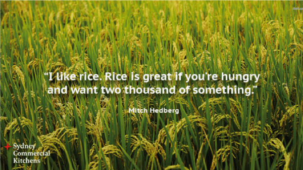 Mitch Hedberg Quote - I like rice. Rice is great if you’re hungry and want two thousand of something..,